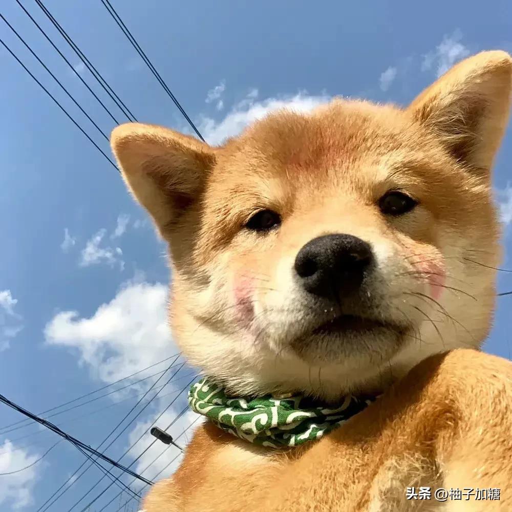 热推手游游戏排行榜,热推游戏排行榜