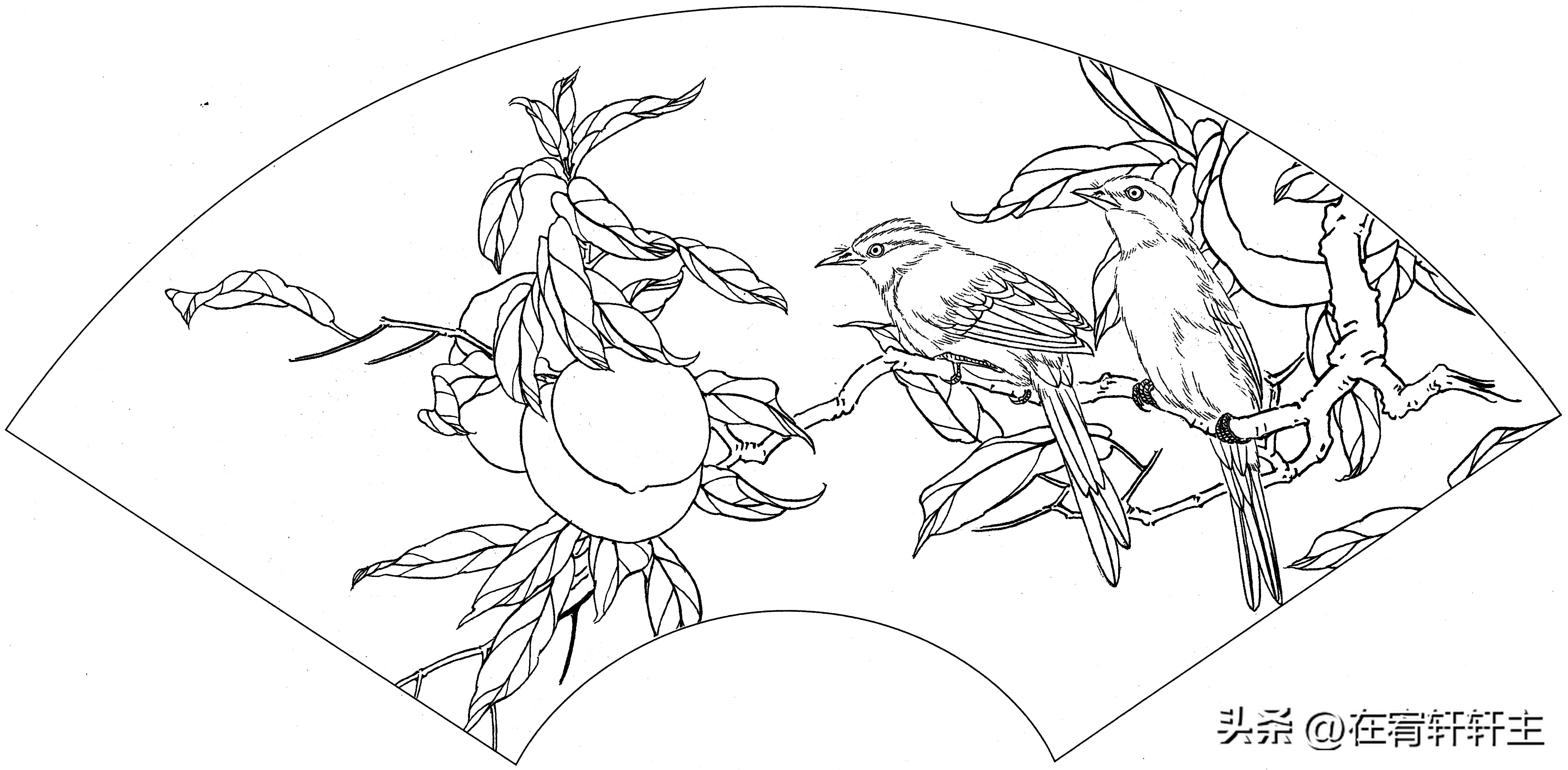 工笔白描祥云图案扇面,工笔扇面葡萄白描图片