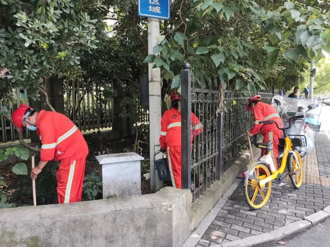 洗污渍、清死角、洗积尘……九堡颜值又刷新