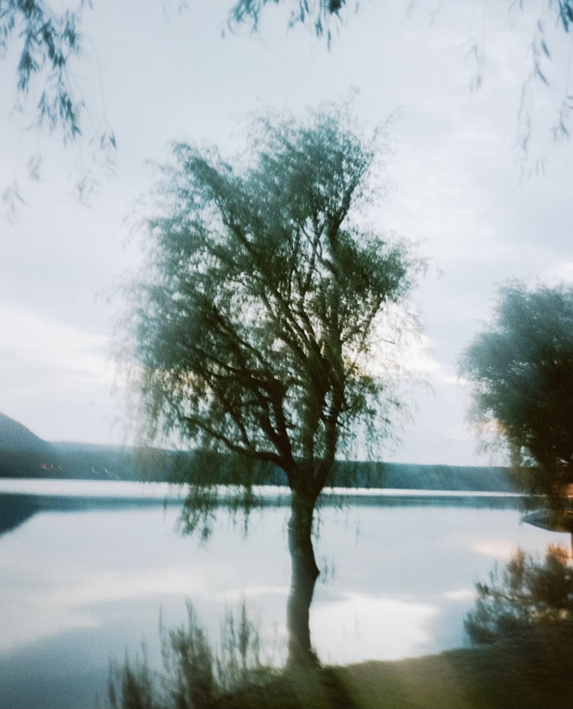 深圳市陈阅摄影,深圳陈阅摄影培训机构