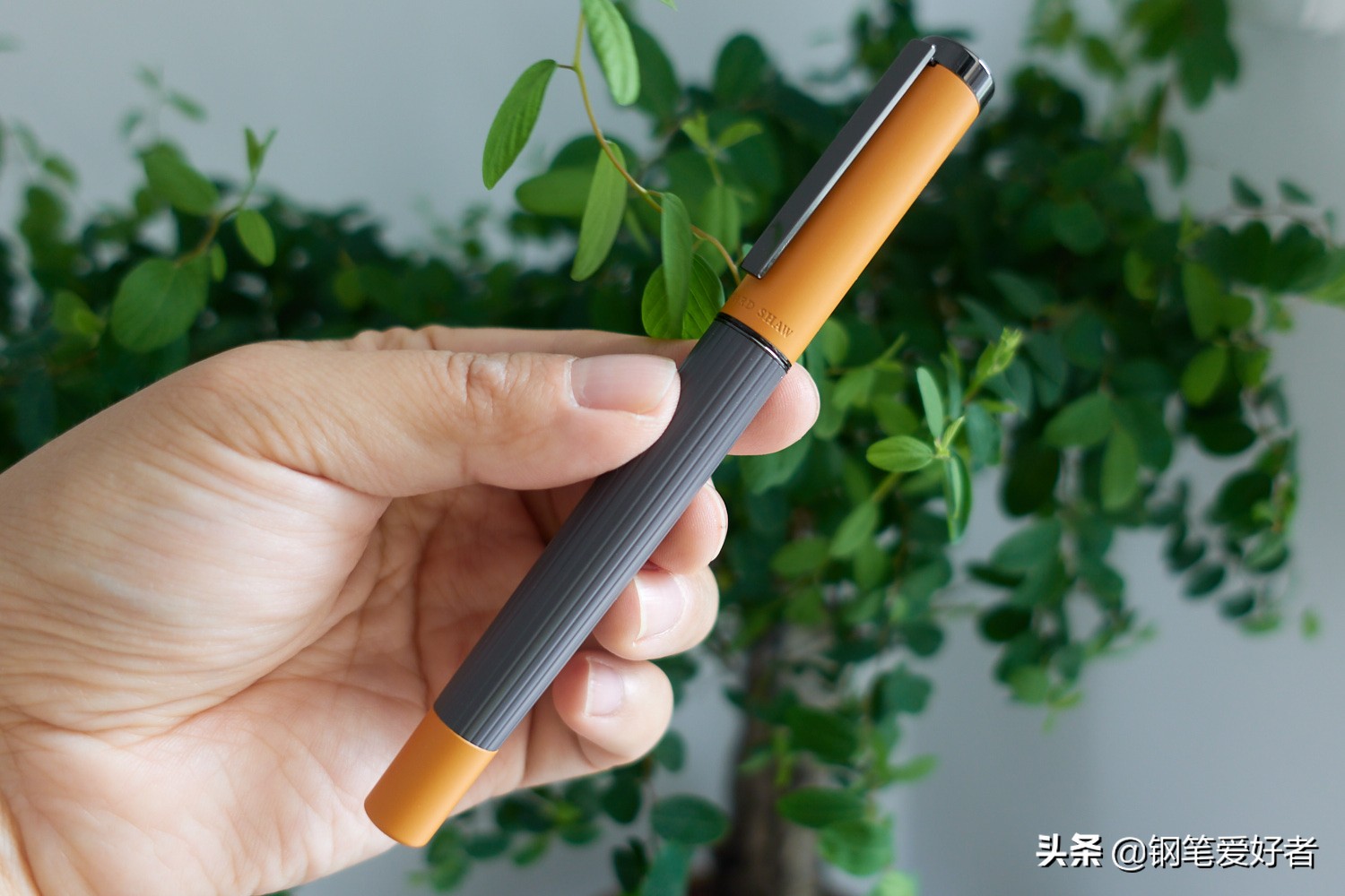 萧伯纳灯塔钢笔,国产钢笔技术