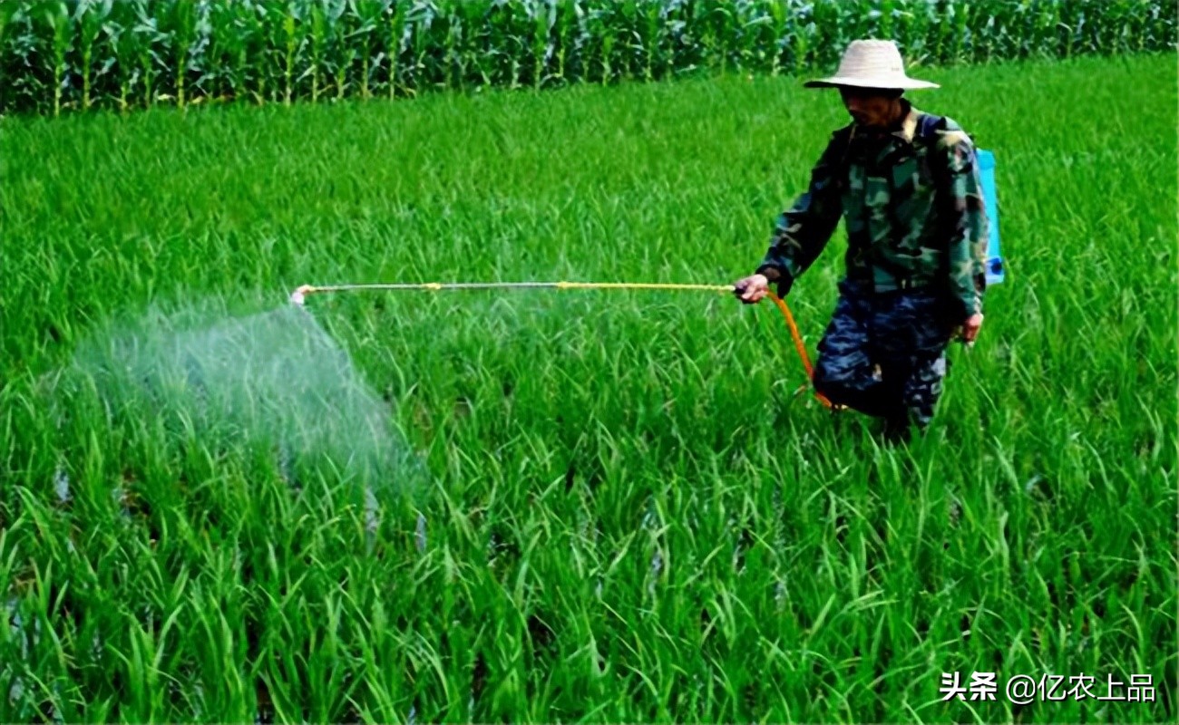 怎么掌握农药搭配,合理使用农药化肥的好处