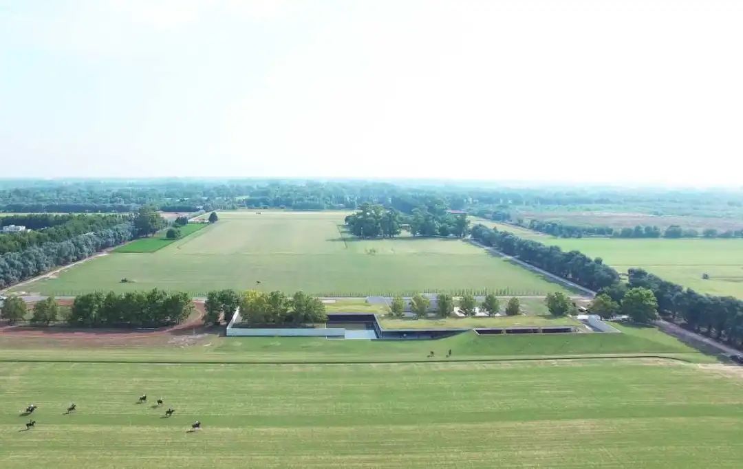 阿根廷EstudioRamos建筑事务所-真诚的现代主义！|EstudioRamos