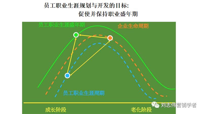 员工职业生涯规划ppt模板,职业生涯规划课件完整版ppt