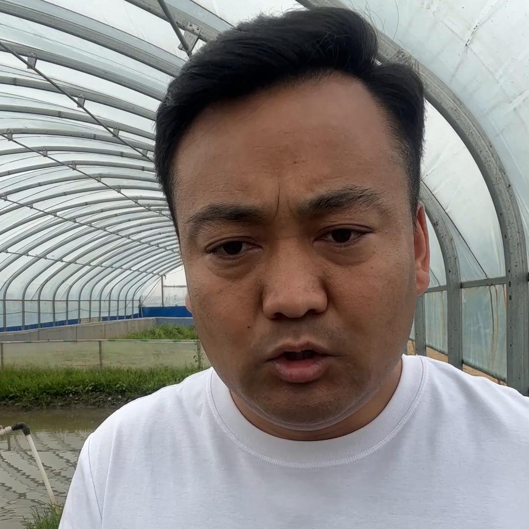 蟾蜍养殖在线解答,蟾蜍养殖新手必看