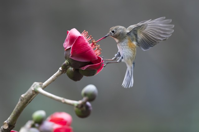 你休闲度假过五一，我连轴转中做婚礼，婚庆行业迎来久违的爆发