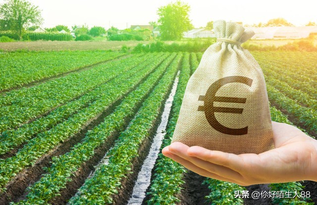 城里有房申请分户,有户无房人户分离政策