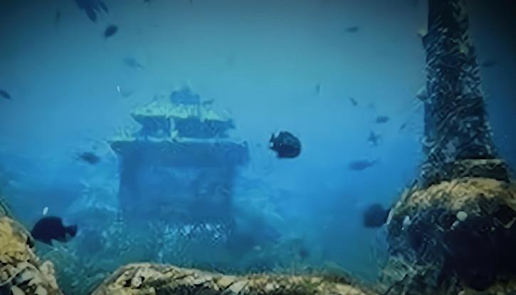 渔民一网捞1500多斤大黄鱼,渔民捞满一网鱼视频