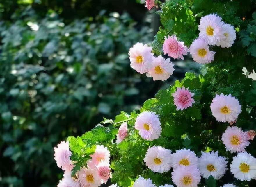 心情不好时别和我说话背景图,心情不好的时候不要和我说话
