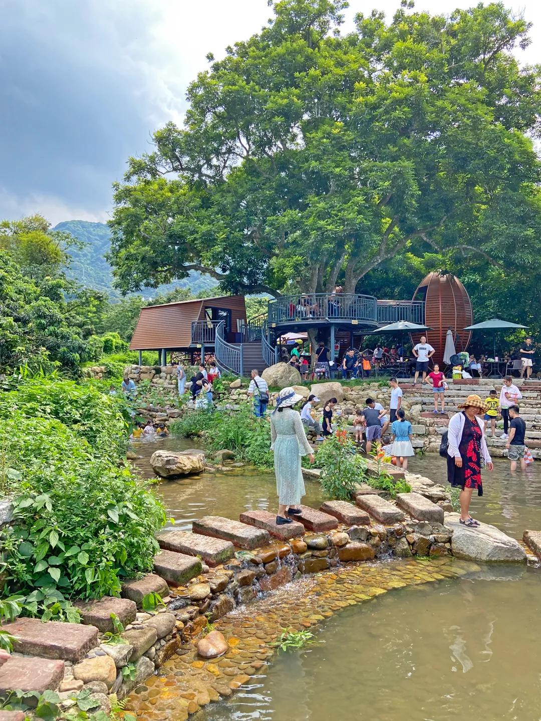 广州摘荔枝一日游最佳路线,从化自驾游荔枝采摘园