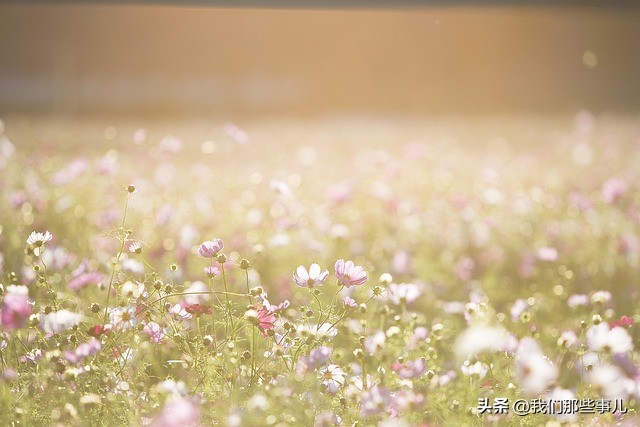 梦见一个人去世了预示什么,梦见一个人去世了是什么意思