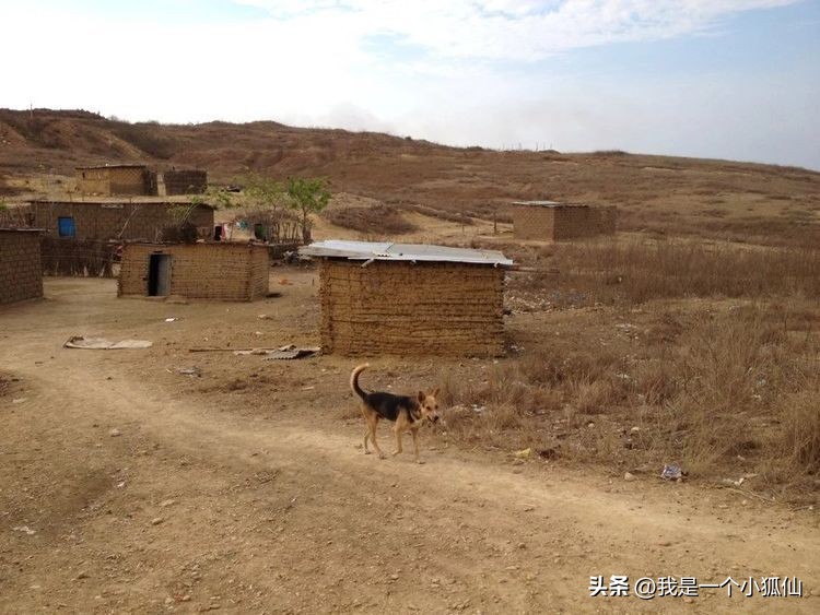 杂记,非洲安哥拉总统府边上的小卖店,女老板能说着一些中国话