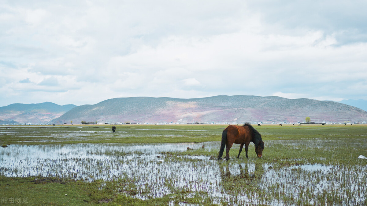 香格里拉童话,一生必去的地方香格里拉