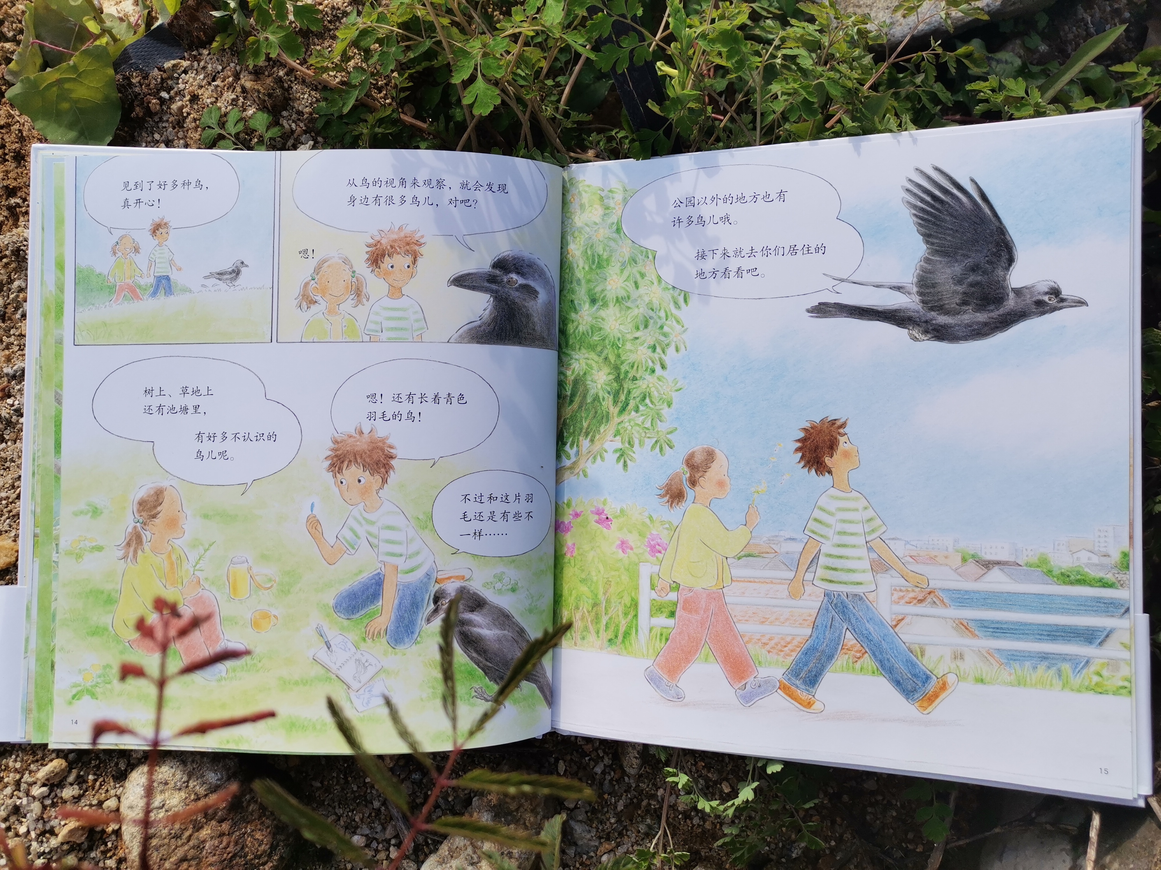 青色的羽毛黄肚皮的鸟,青色的羽毛