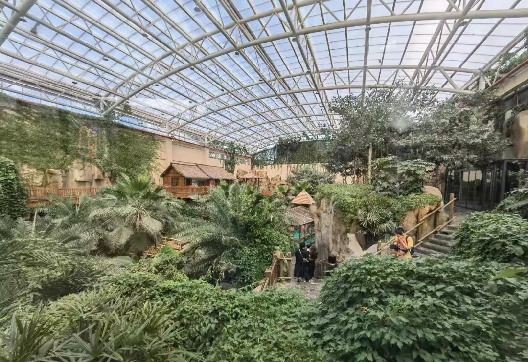 莫干山开元森泊和莫干山森泊,莫干山开元森泊2天一夜攻略