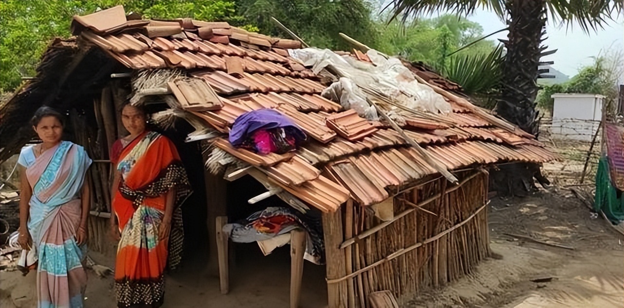 惨！为了防止月经影响工作，印度十几万甘蔗女工被哄骗切掉子宫