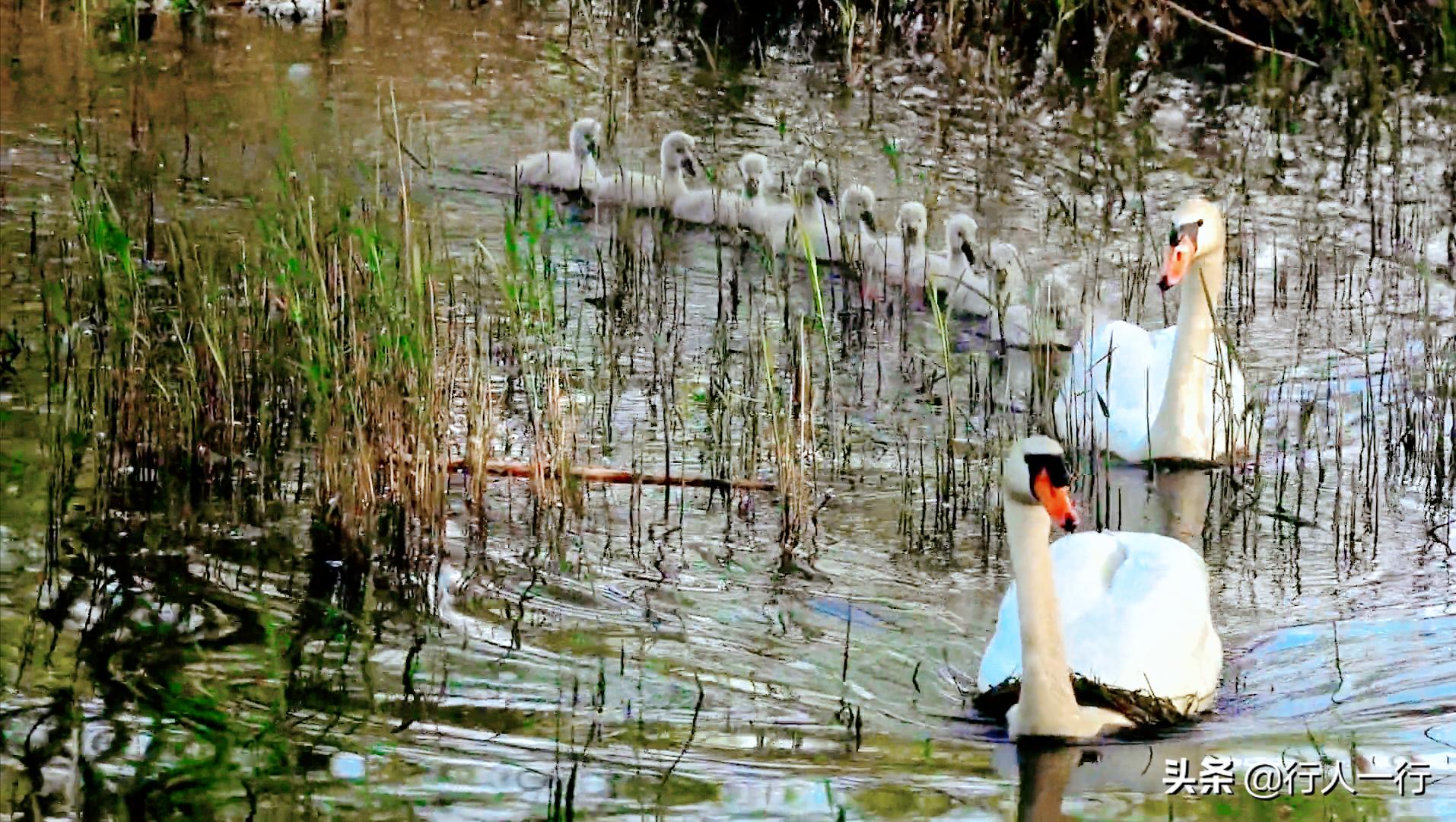 郑州周边夜晚露营地推荐,郑州露营旅游地点推荐