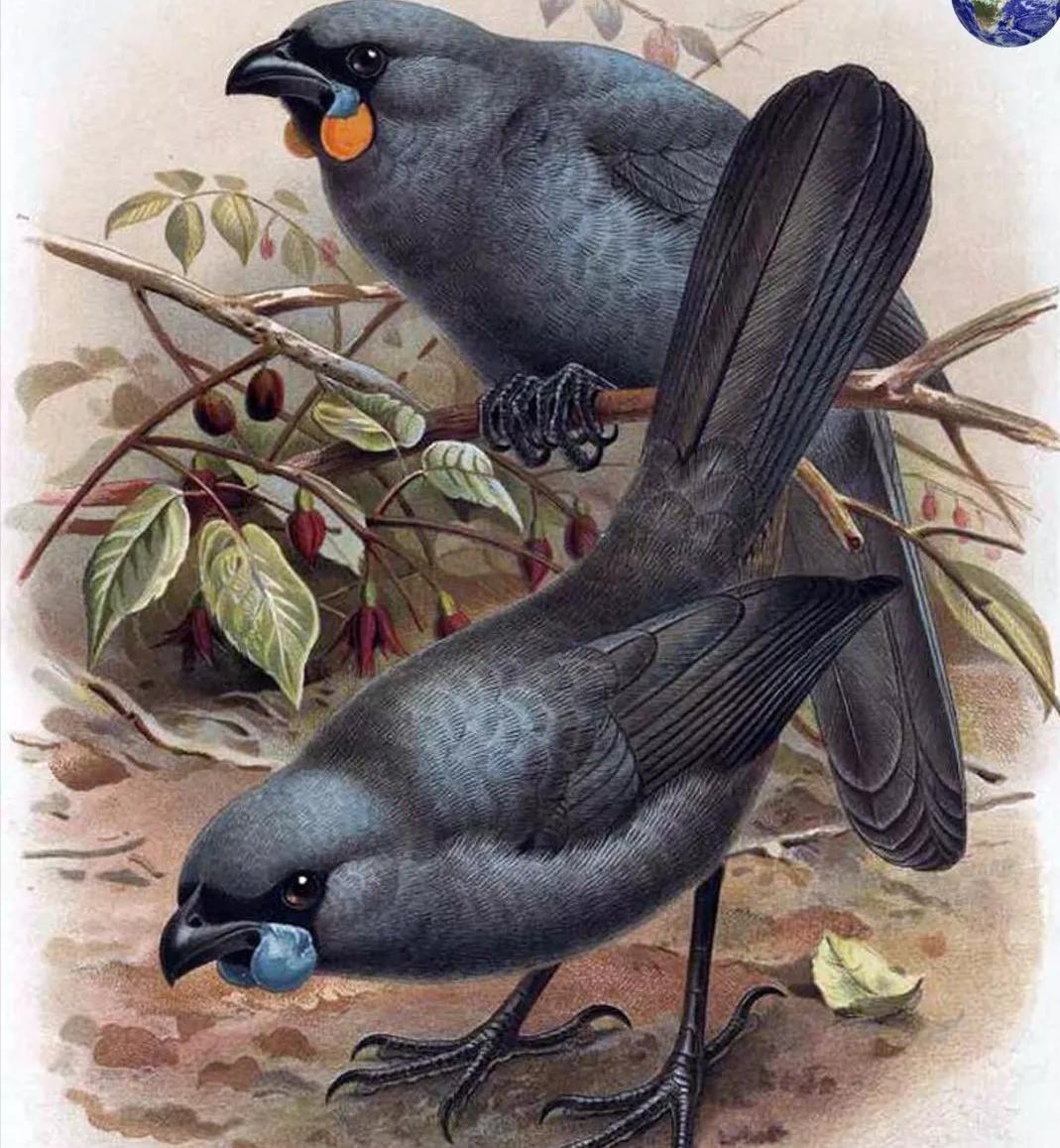 世界上最贵的东西一克的价值上亿,史上最贵的东西价值1000万