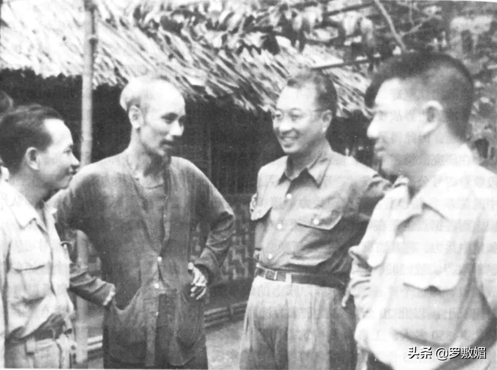 瓒婂啗鍏ㄦ娉曞啗鎴樺焦,瓒婂啗姝肩伃娉曞啗鐗囨