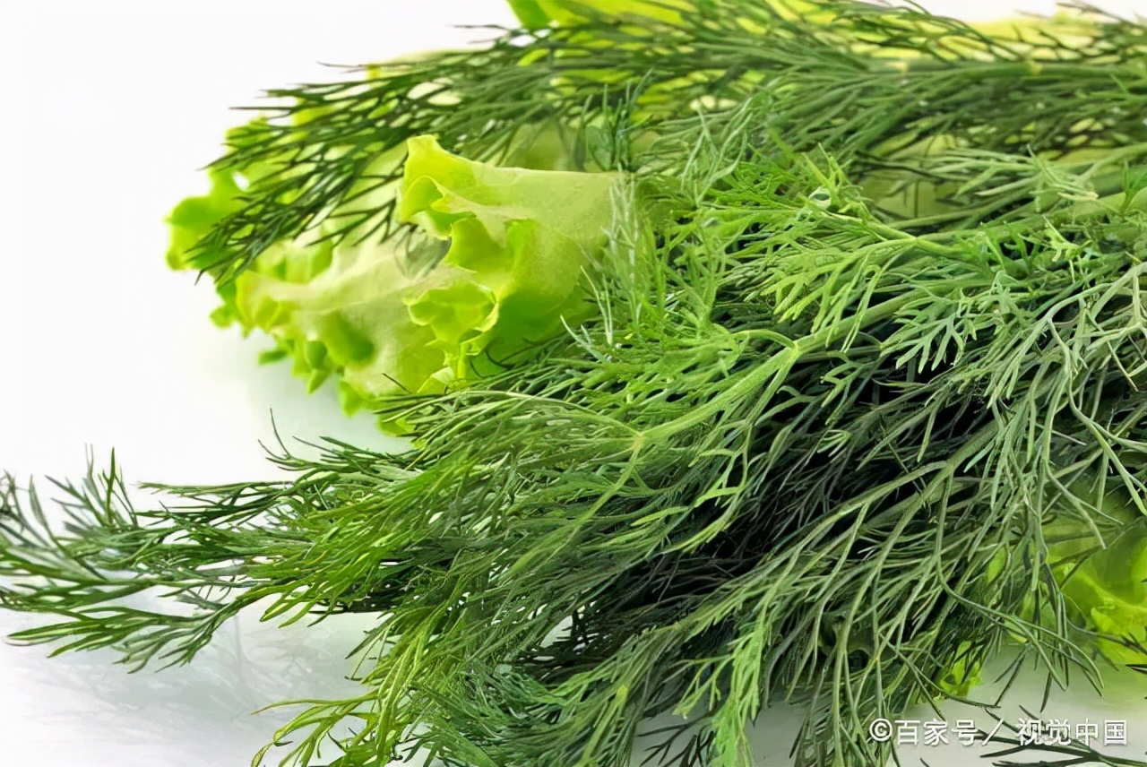 胃痛吃不下饭的时候该不该硬吃,胃痛吃不下饭时吃什么比较好