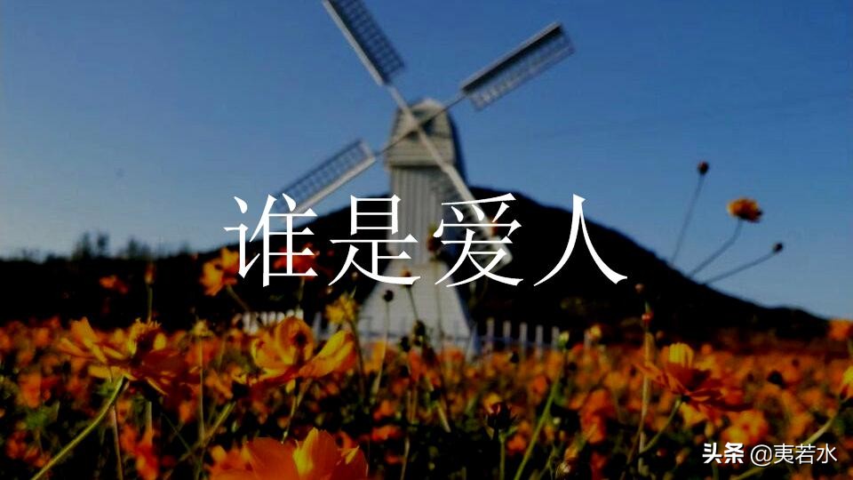 第十五章夜结局,15章夜结局完整剧情