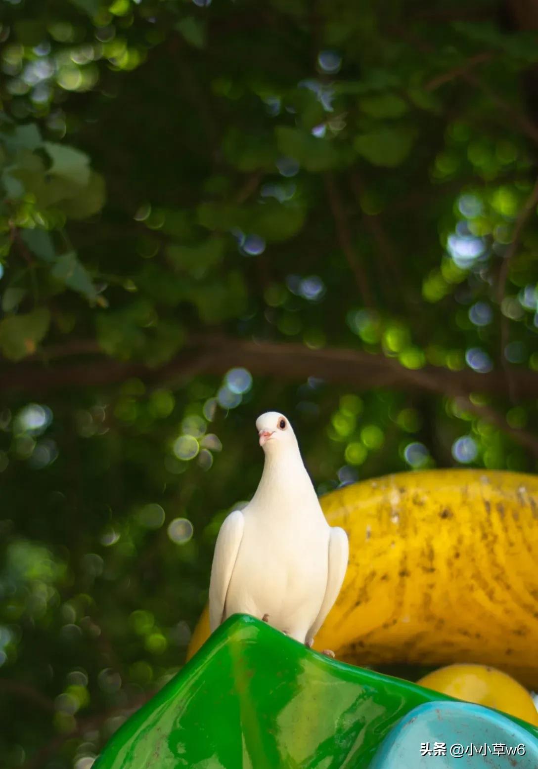 人生不只有高考的路,人生不只有高考的句子