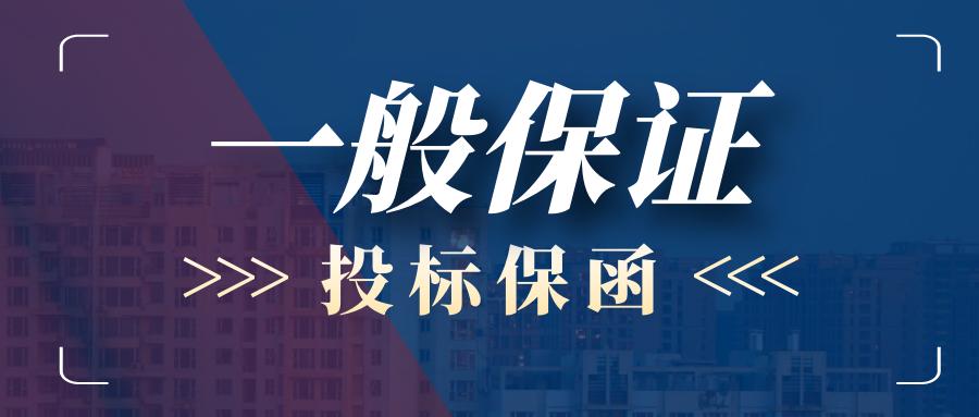 投标保函模板,投标保函格式