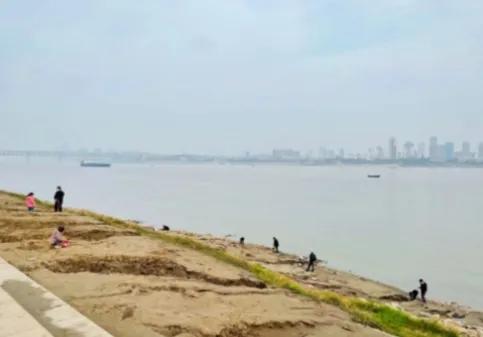 源自不系舟微博《鹦鹉洲》