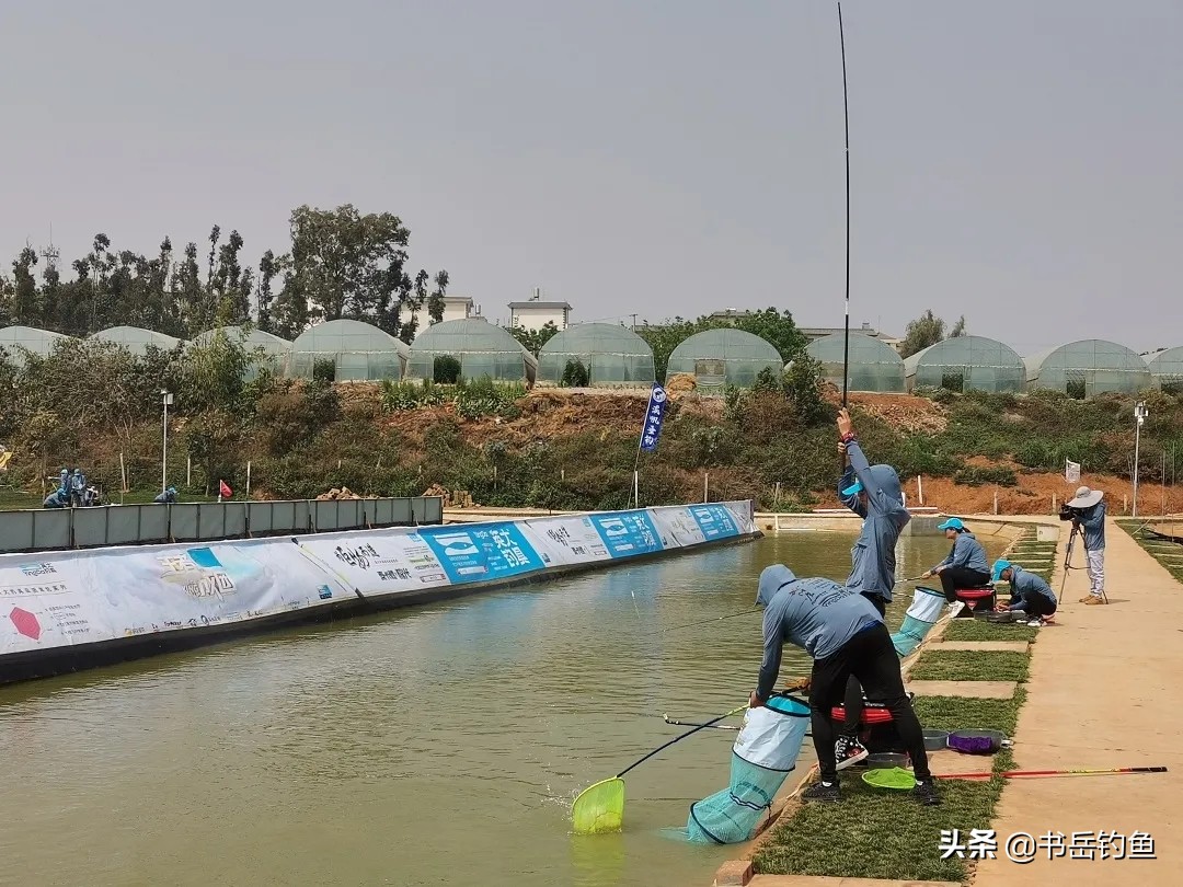 英大战队为什么直通王者之战决赛,英大刘松松战队为什么直通总决赛