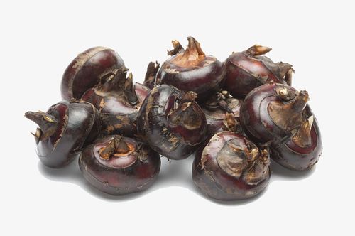 这7种食物对肺有好处记得多吃,润肺止咳这5种食物来护驾