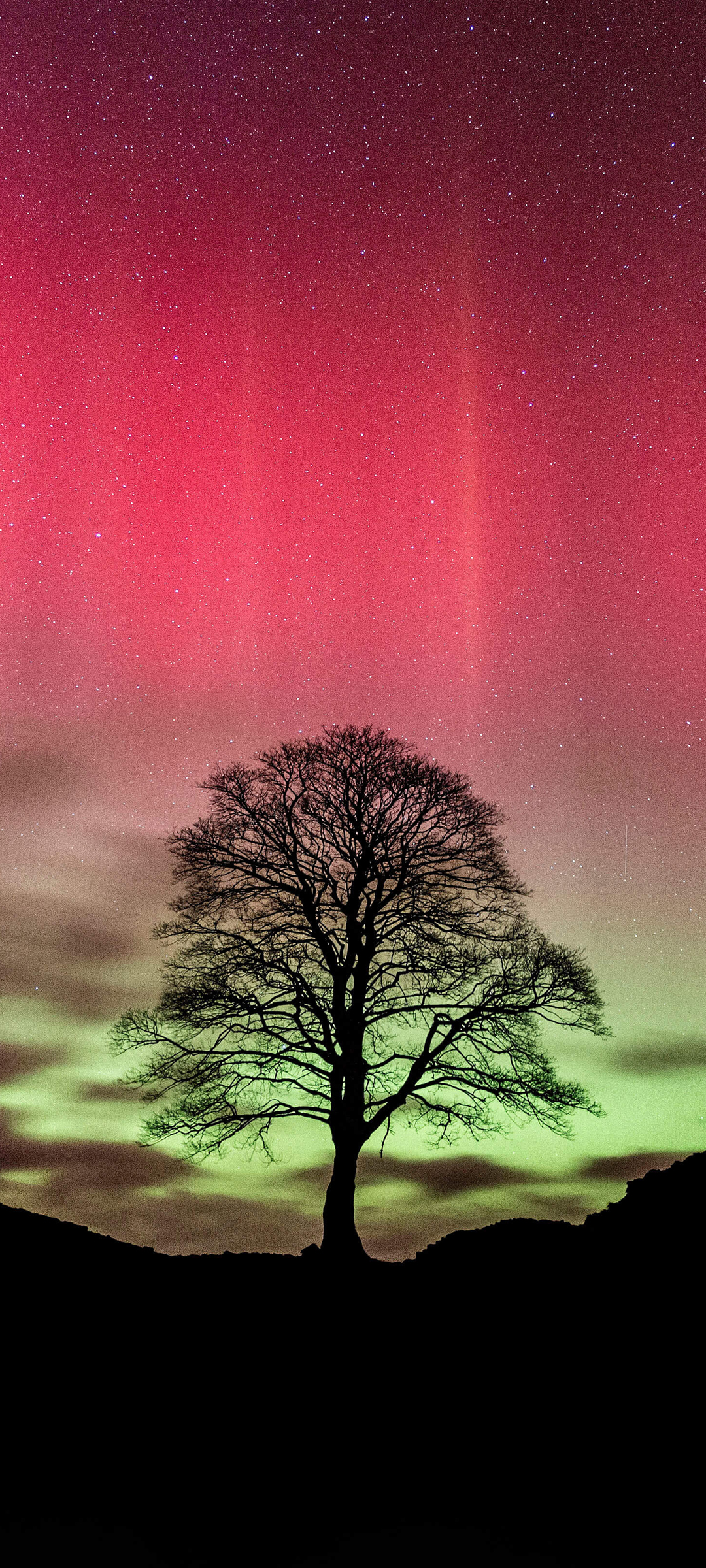 2022好看的手机风景壁纸,2022年男鸿运当头手机壁纸