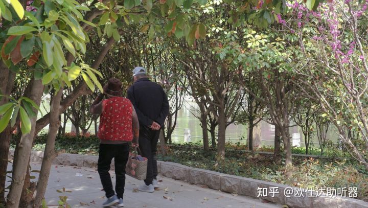 中耳炎引起听力下降能戴助听器吗,长期佩戴助听器会导致听力下降吗