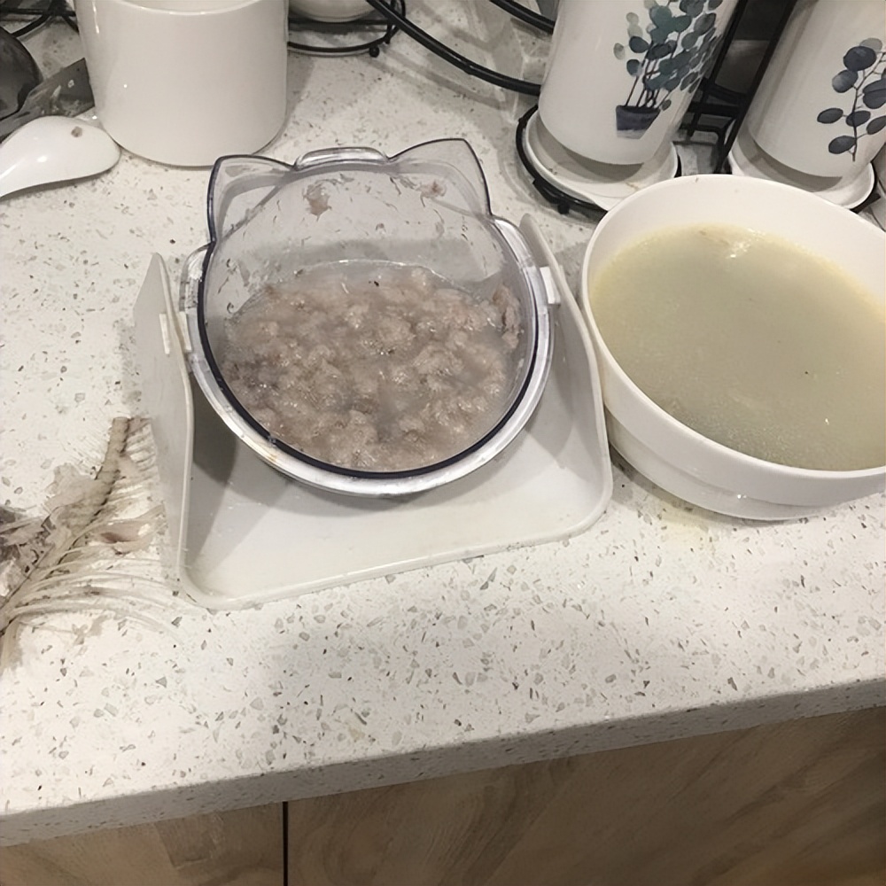 母猫下奶没有奶怎么办,母猫产后喂不喂羊奶粉