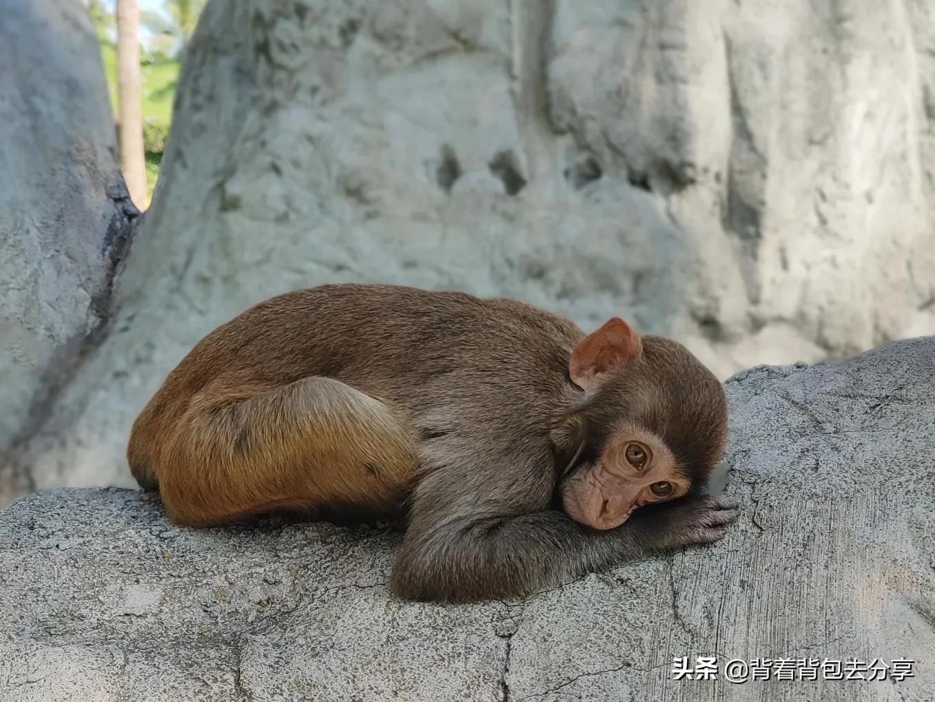 海南必去的5大景点,海南必玩的十大景区