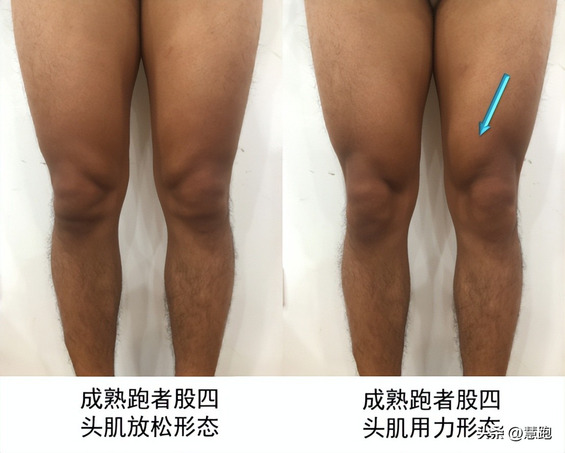 跑者最先该练小腿力量还是大腿,10个动作专练跑者关键部位肌肉