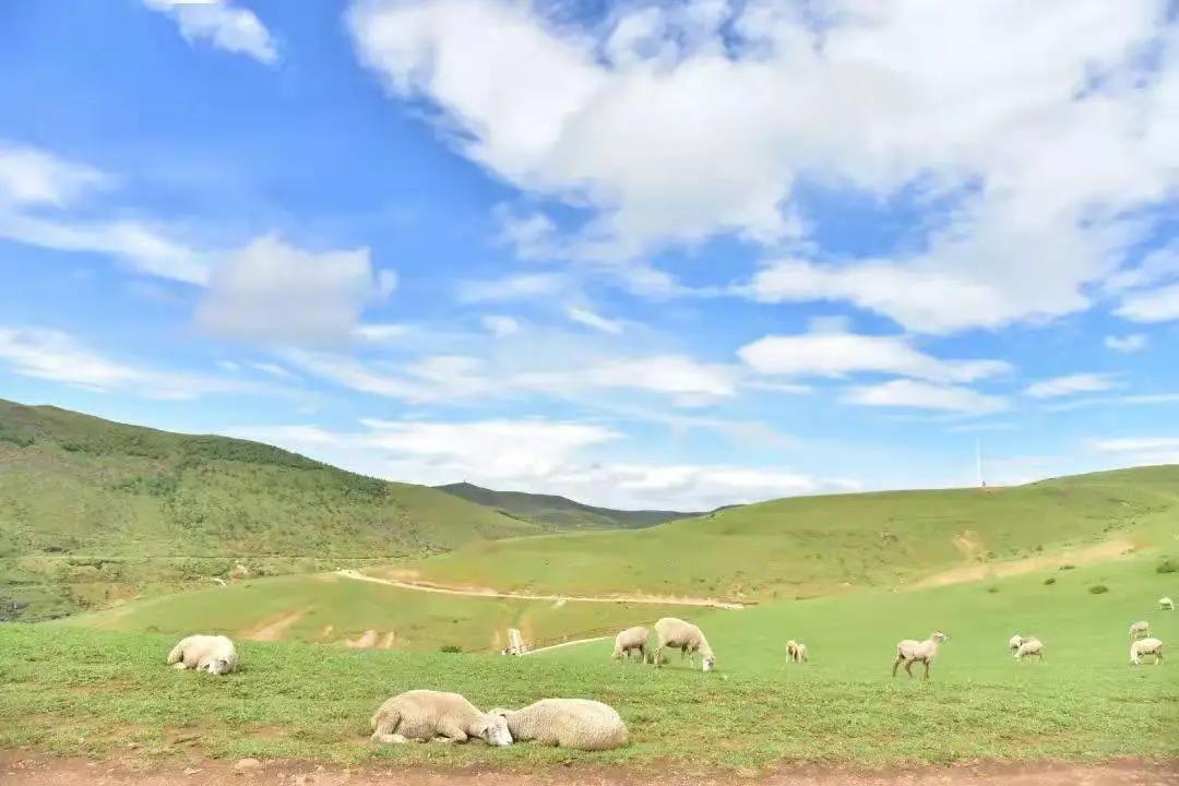 云南旅游避暑景点有哪些地方好耍,云南避暑美食胜地