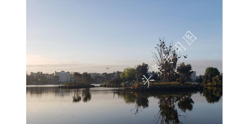 相亲对象请吃饭要我带上亲属,请相亲对象吃饭毫不客气