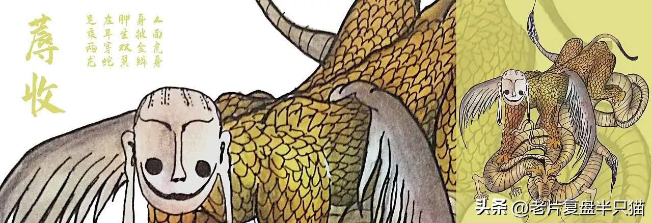 中国国漫大鱼海棠最后独白,国漫大鱼海棠深度解说