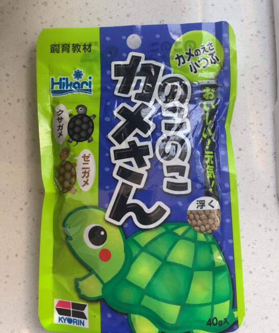 养乌龟新手推荐,龟用品