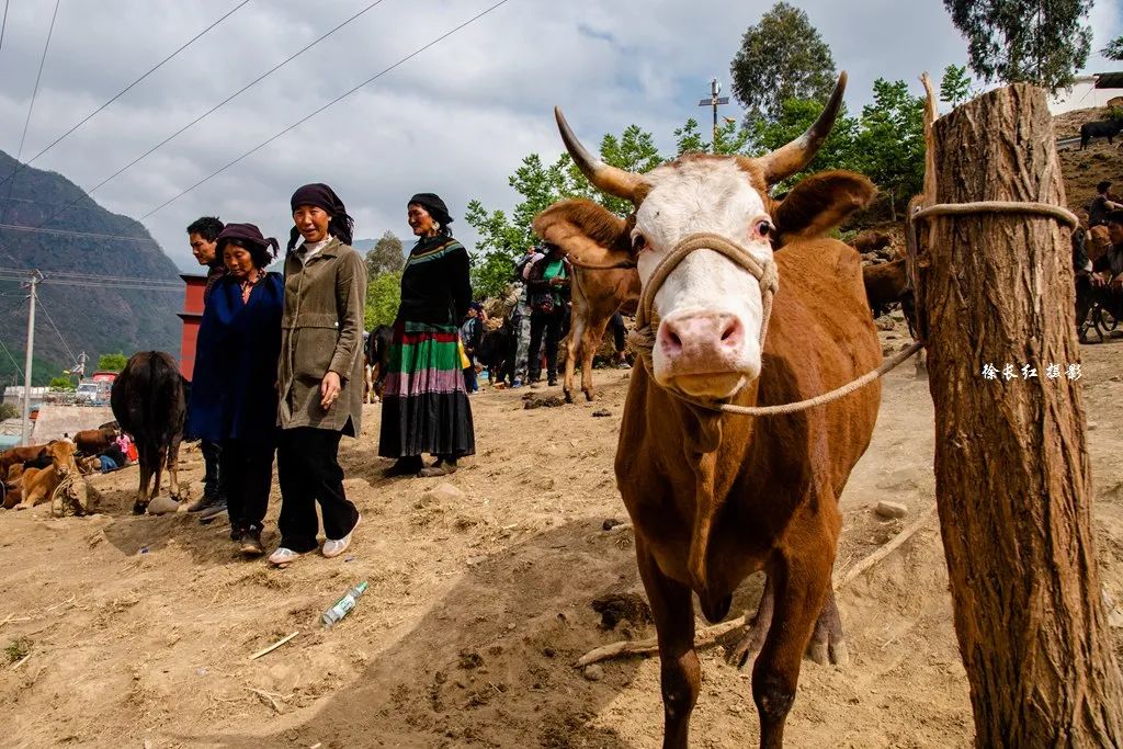 彝族千年传统民俗节日火把节、原生态赶集、幸福火车看凉山摄影团