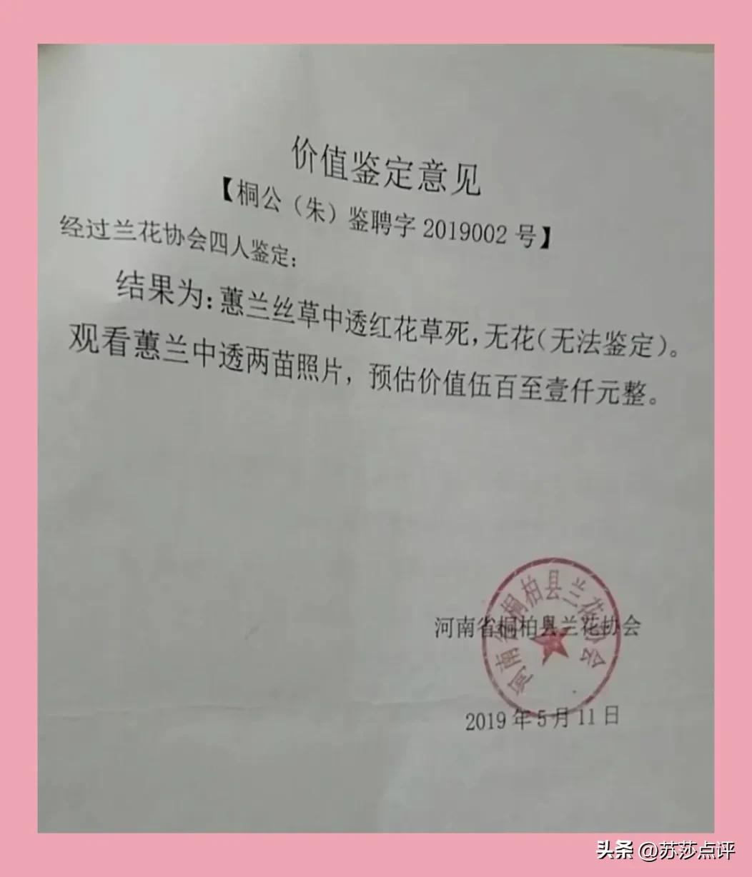 农妇掐走两株花茎，赔8万罚5千判3缓4，兰花有多名贵？