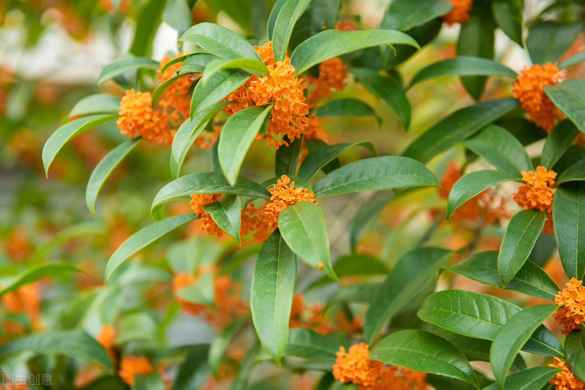 清可绝尘,清可绝尘浓能远溢什么意思