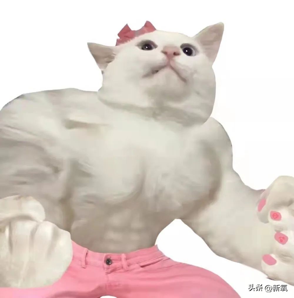 大长今冻龄女神李英爱,韩国李英爱年轻时图片