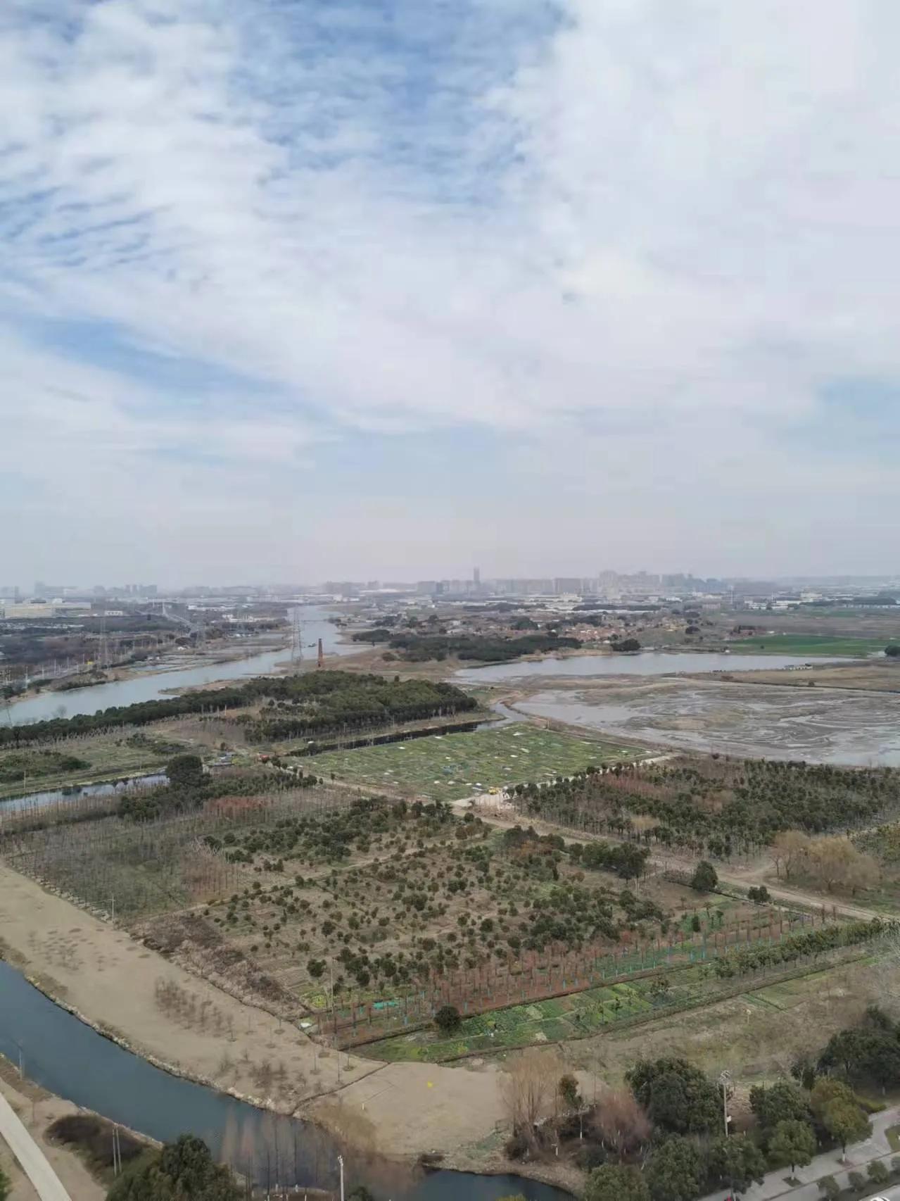 春风又绿江南岸原片,春风又绿江南岸张蓓蓓