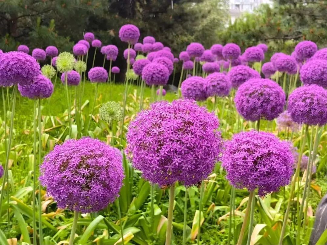 海淀旅游必去十大景点推荐,海淀区旅游免费景点推荐
