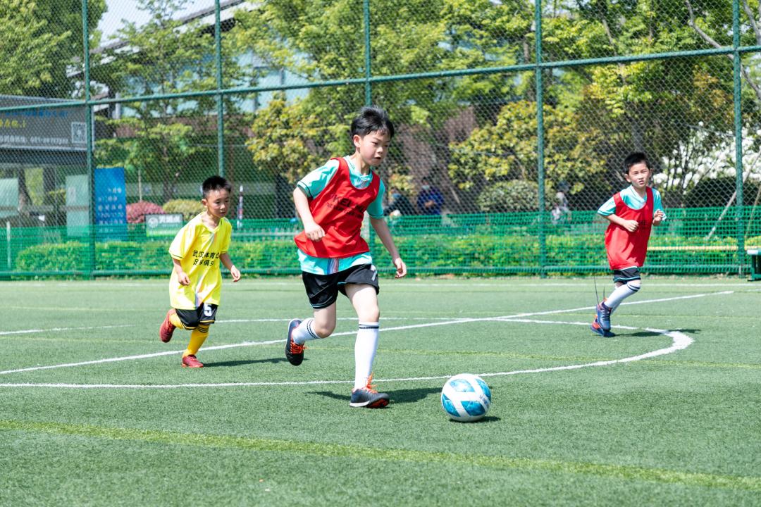 武汉体育中心体育馆人数,众多游客前来打卡