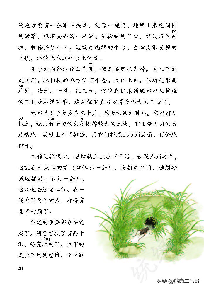 暑假预习资料小学,四年级下册语文课本第17课预习