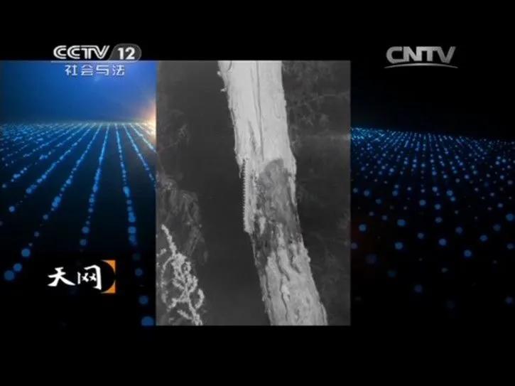 抽丝剥茧却难以解开的谜题，现实却让人大吃一惊