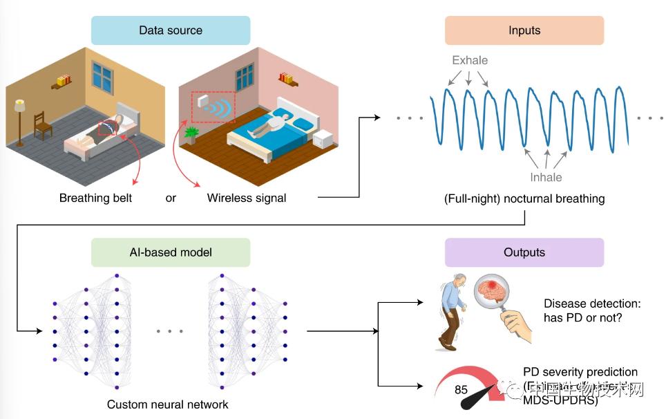 世界帕金森病日第28个主题,世界帕金森病日完整版