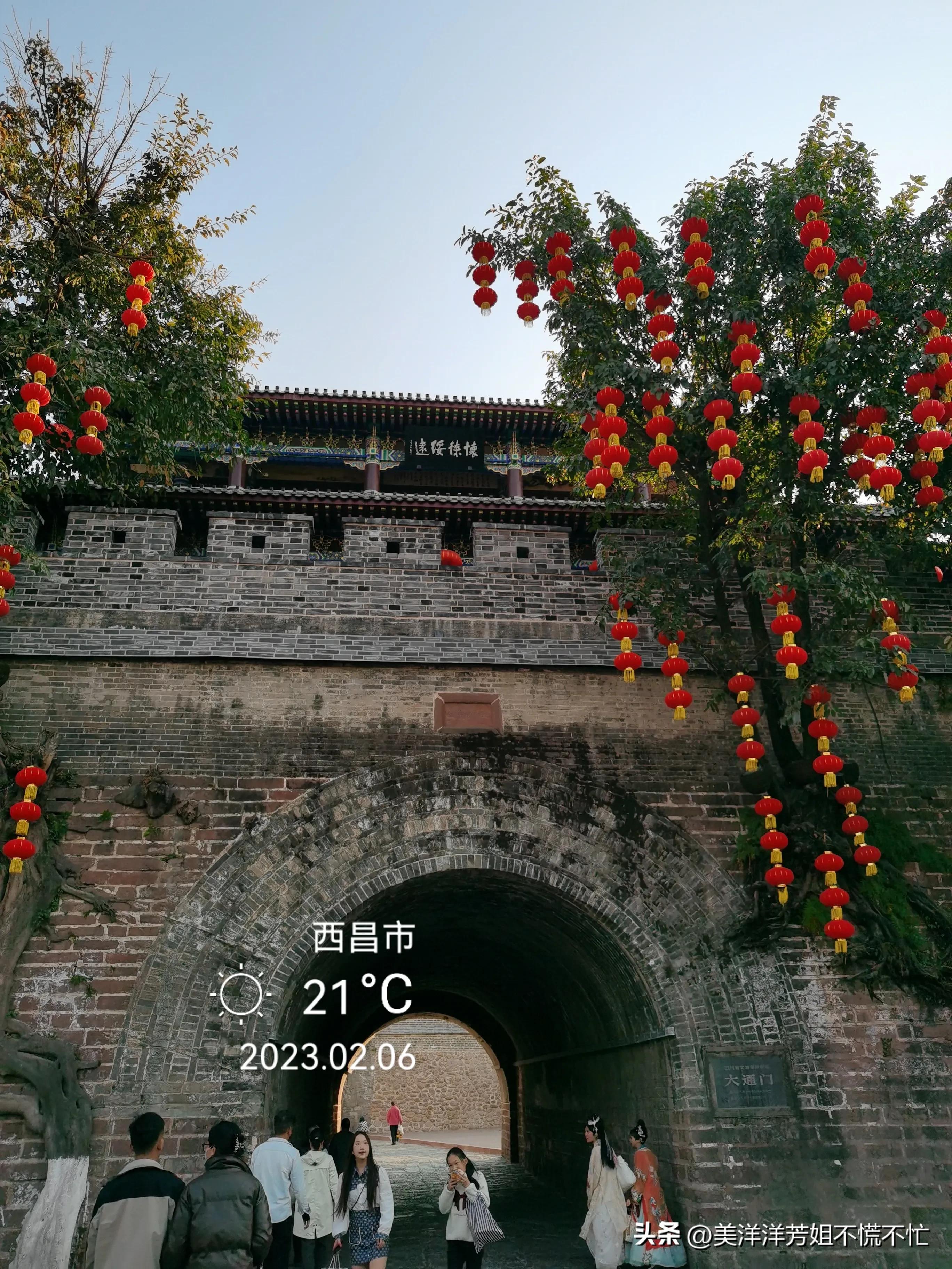 西昌邛海什么时候有海鸥,冬季去西昌邛海喂海鸥